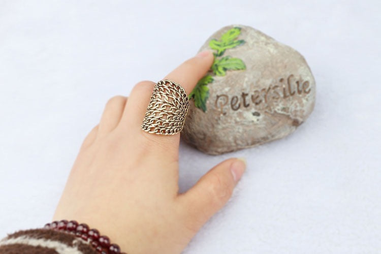 Chains-web Ring